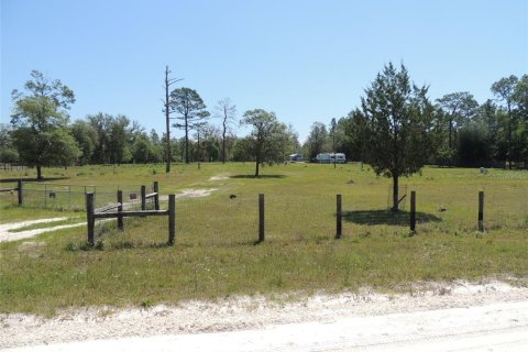 Land in Bronson, Florida № 1559143 - photo 4