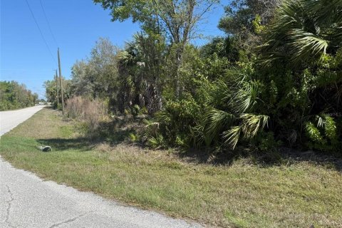 Land in Port Charlotte, Florida № 2162359 - photo 5