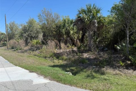 Land in Port Charlotte, Florida № 2162359 - photo 4