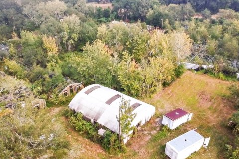 Land in Plant City, Florida № 1875869 - photo 12