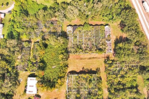 Land in Plant City, Florida № 1875869 - photo 9