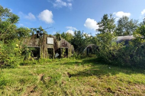 Land in Plant City, Florida № 1875869 - photo 14