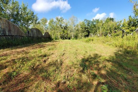 Land in Plant City, Florida № 1875869 - photo 19