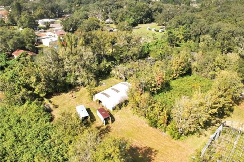 Land in Plant City, Florida № 1875869 - photo 6