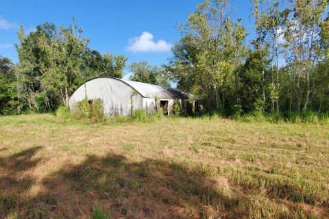 Land in Plant City, Florida № 1875869 - photo 20
