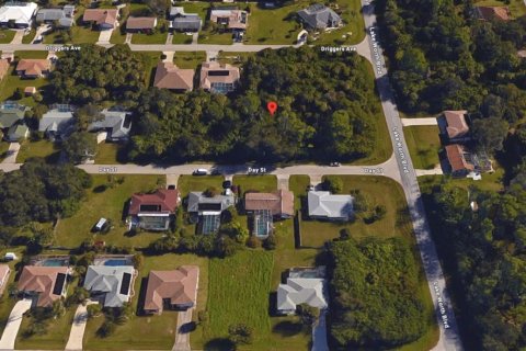 Land in Port Charlotte, Florida № 2238841 - photo 7