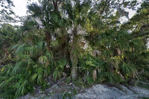 Land in Port Charlotte, Florida № 2238841 - photo 3