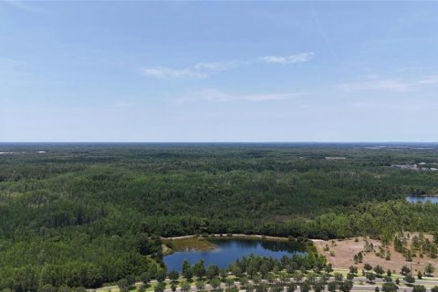 Villa ou maison à louer à Land O' Lakes, Floride: 5 chambres, 337.14 m2 № 1792048 - photo 24