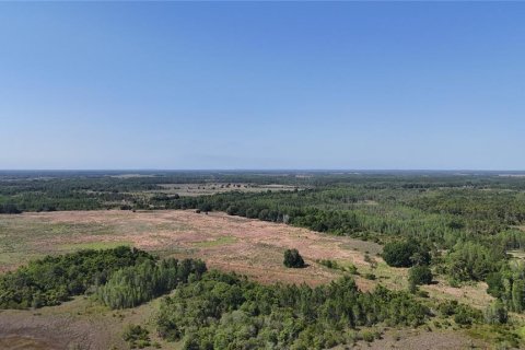 Снять в аренду виллу или дом в Ленд-о-Лейкс, Флорида 8 комнат, 337.14м2, № 1792048 - фото 7