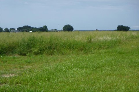 House in Bartow, Florida 4 bedrooms, 238.57 sq.m. № 2283489 - photo 3