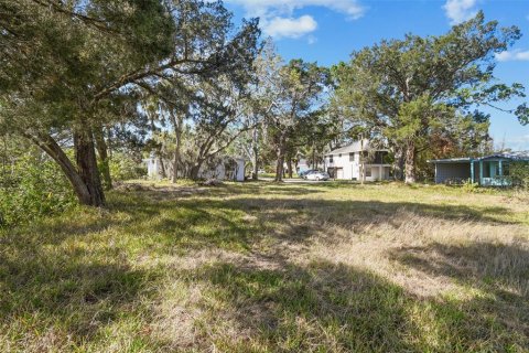 Terreno en venta en Port Richey, Florida № 1612362 - foto 20