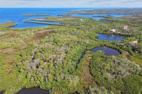 Terreno en venta en Port Richey, Florida № 1612362 - foto 14