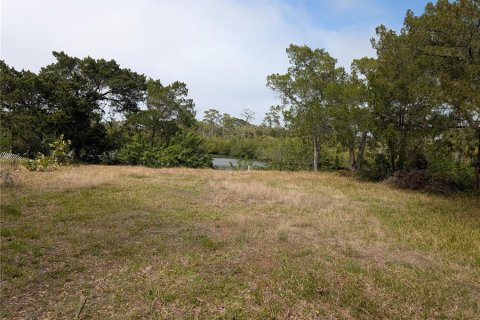 Terreno en venta en Port Richey, Florida № 1612362 - foto 1