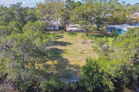 Terreno en venta en Port Richey, Florida № 1612362 - foto 4