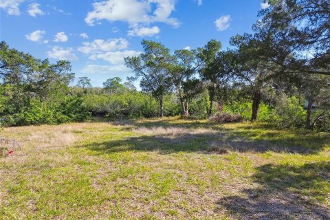 Terreno en venta en Port Richey, Florida № 1612362 - foto 2