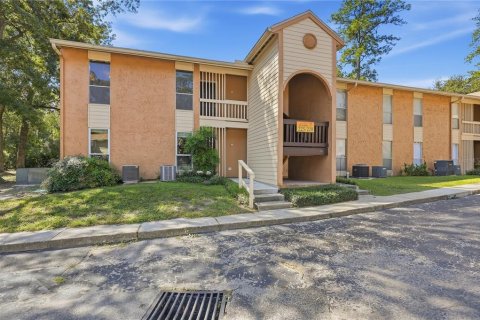 Condo in Gainesville, Florida, 1 bedroom  № 2364777
