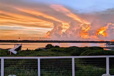 Villa ou maison à vendre à Saint Augustine, Floride: 4 chambres, 340.02 m2 № 1916389 - photo 6