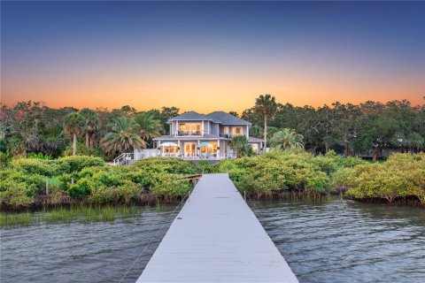 Villa ou maison à vendre à Saint Augustine, Floride: 4 chambres, 340.02 m2 № 1916389 - photo 1