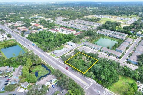 Land in Valrico, Florida № 2321761 - photo 2