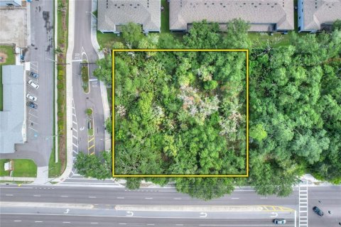 Land in Valrico, Florida № 2321761 - photo 5