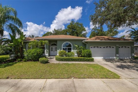 Villa ou maison à Safety Harbor, Floride 4 chambres, 232.63 m2 № 2314659