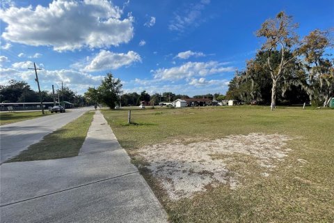 Terrain à vendre à Fort Meade, Floride № 2229325 - photo 6