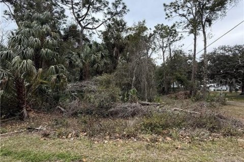 Terrain à vendre à Crystal River, Floride № 1522739 - photo 6
