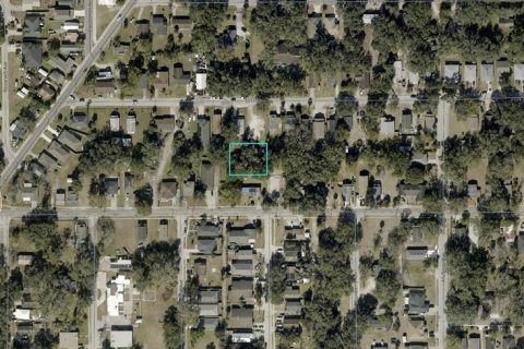 Land in Sanford, Florida № 2159358 - photo 2