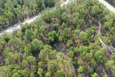 Land in Williston, Florida № 2208698 - photo 6