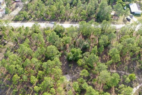 Land in Williston, Florida № 2208698 - photo 4