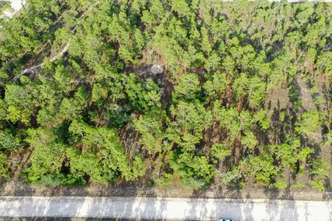 Land in Williston, Florida № 2208698 - photo 9