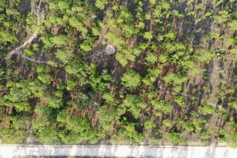 Land in Williston, Florida № 2208698 - photo 10