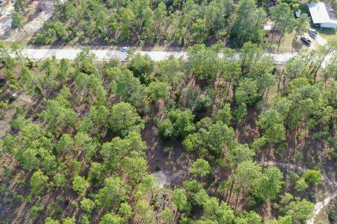 Land in Williston, Florida № 2208698 - photo 5