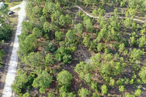 Land in Williston, Florida № 2208698 - photo 7