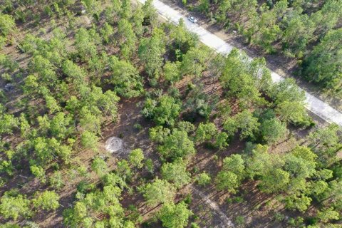 Land in Williston, Florida № 2208698 - photo 3