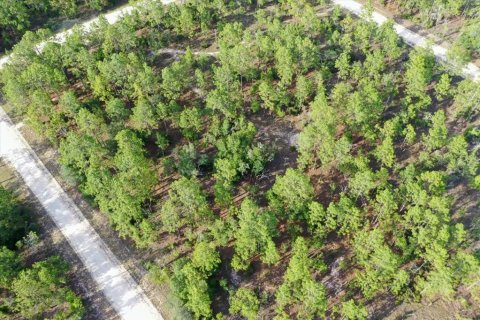 Land in Williston, Florida № 2208698 - photo 8