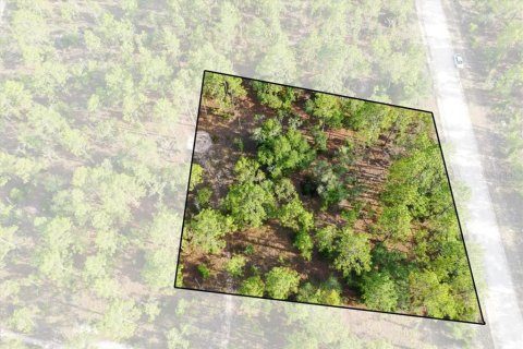 Land in Williston, Florida № 2208698