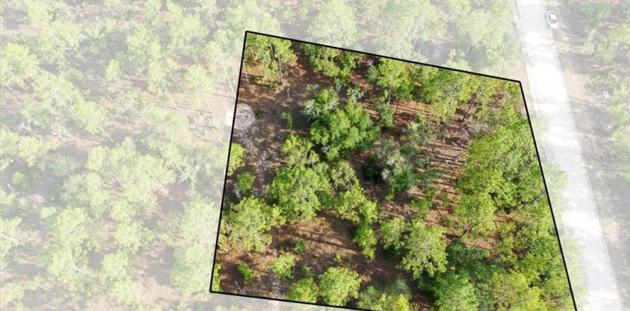 Land in Williston, Florida № 2208698