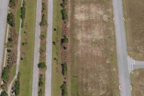 Terrain à Lake Alfred, Floride № 2230388