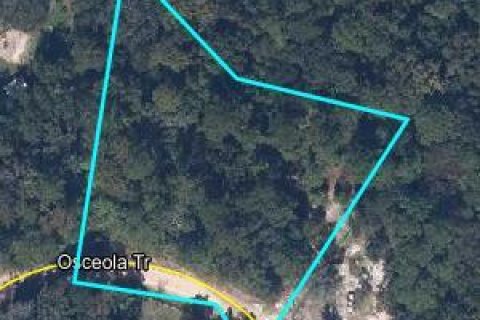 Land in Middleburg, Florida № 801927 - photo 1