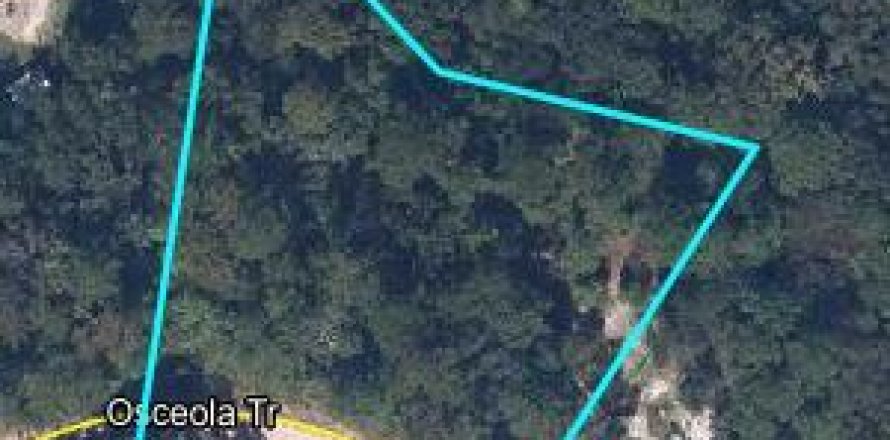 Land in Middleburg, Florida № 801927