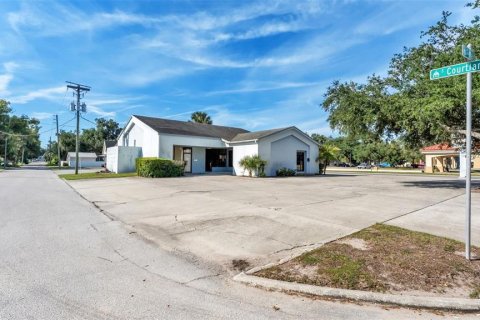 Immobilier commercial à vendre à Bartow, Floride: 290.88 m2 № 2394169 - photo 3