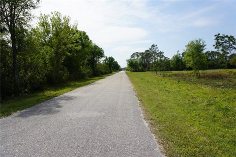 Terrain à vendre à Punta Gorda, Floride № 1549981 - photo 6