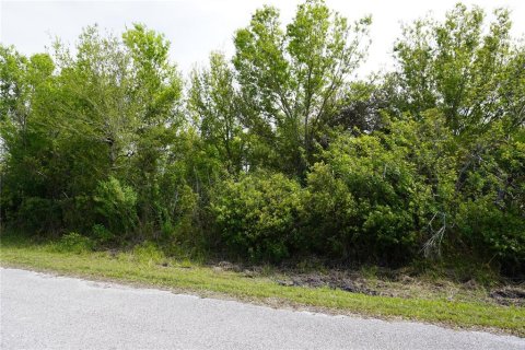 Terrain à vendre à Punta Gorda, Floride № 1549981 - photo 5