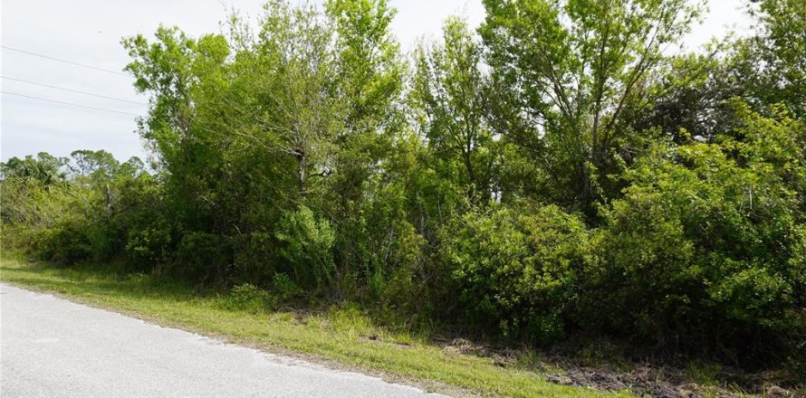 Terrain à Punta Gorda, Floride № 1549981