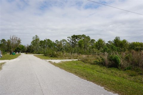 Terrain à vendre à Punta Gorda, Floride № 1549981 - photo 13