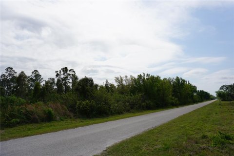 Terrain à vendre à Punta Gorda, Floride № 1549981 - photo 15