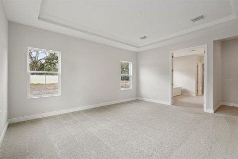 House in Valrico, Florida 4 bedrooms, 364.36 sq.m. № 1687342 - photo 13
