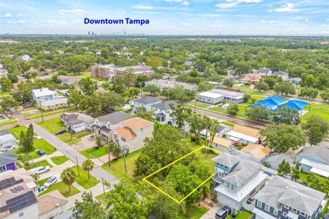 Land in Tampa, Florida № 1819408 - photo 9