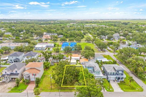 Land in Tampa, Florida № 1819408 - photo 8